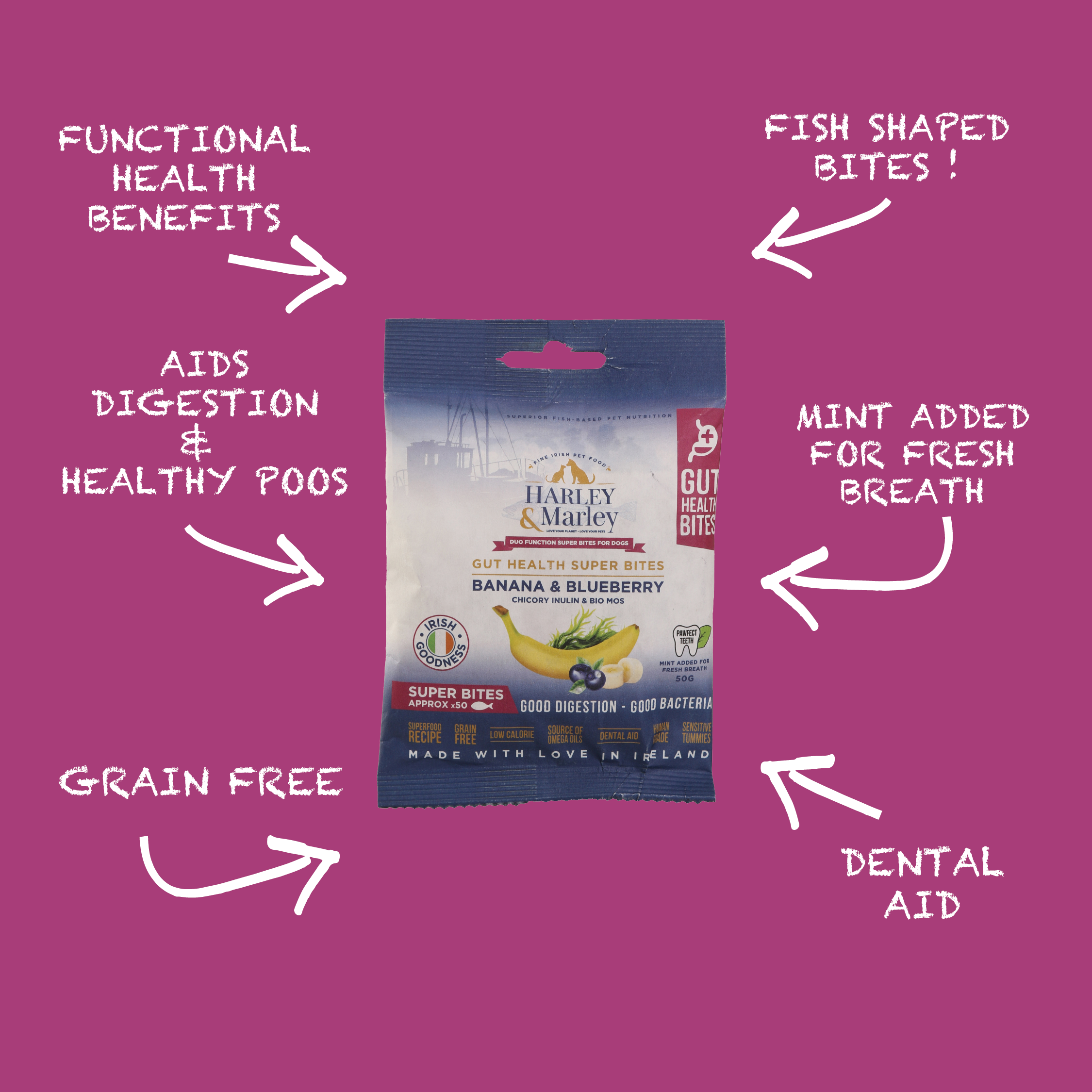 Gut Health Super Bites Functional Health Bites