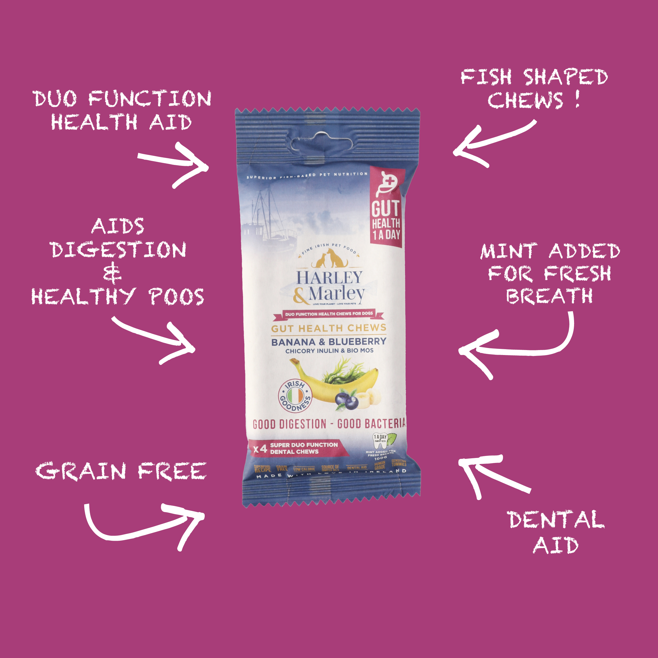 Gut Health Chews Duo Function Health Chews for Dogs