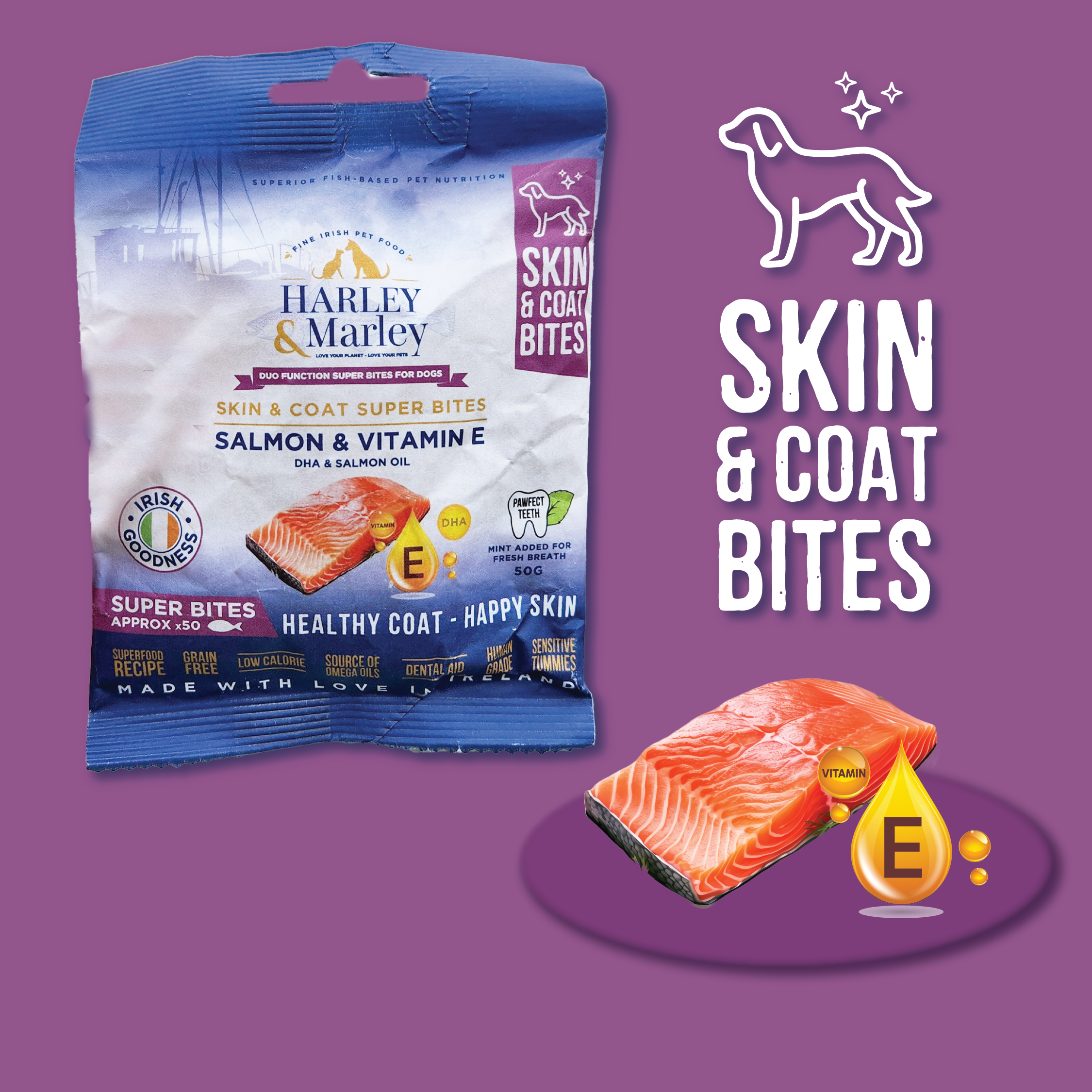 Skin & Coat Super Bites Functional Health Bites